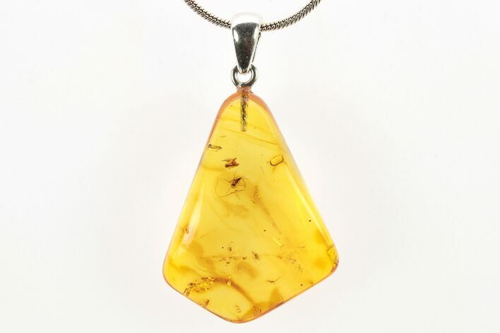 Polished Baltic Amber Pendant (Necklace) - Contains Flies! #273461